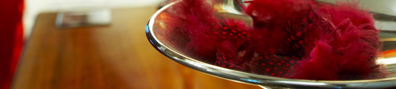 Exotic feathers in a bowl